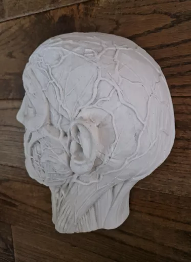 ets_mc_301_head_5.jpg