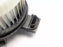 cfa31ae1-3a0d-4151-981b-ab14889a0eae.jpeg?