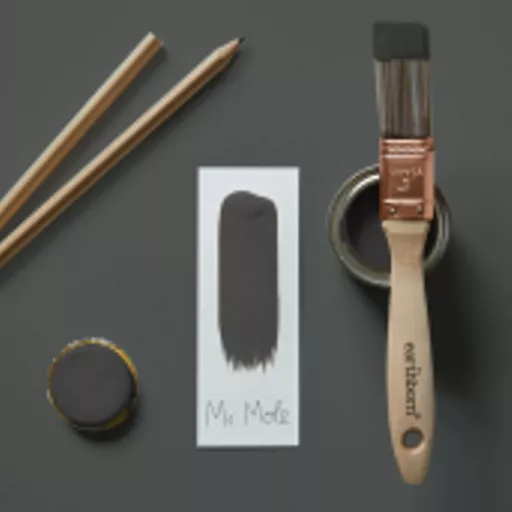 Mr Mole Brush Shot.webp