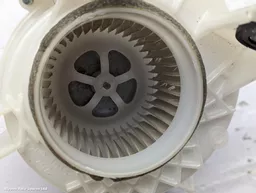 241d5363-aba0-4104-aadd-82352c475fd0.jpeg?