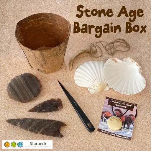 Stone Age Artefacts Bargain Box
