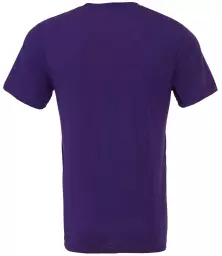 CV3001%20PUR%20BACK.jpg