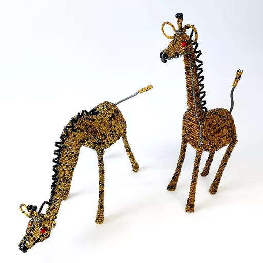 Giraffes 1.jpg
