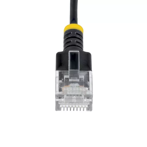 6ewXy7jDGUS5wbWyCI49Qg.c-r.jpg?