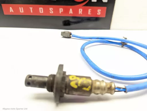 16b37cd9-ec91-40c7-aff6-6c62d8ed8365.jpeg?