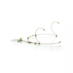 1733920798-13342100.jpg?