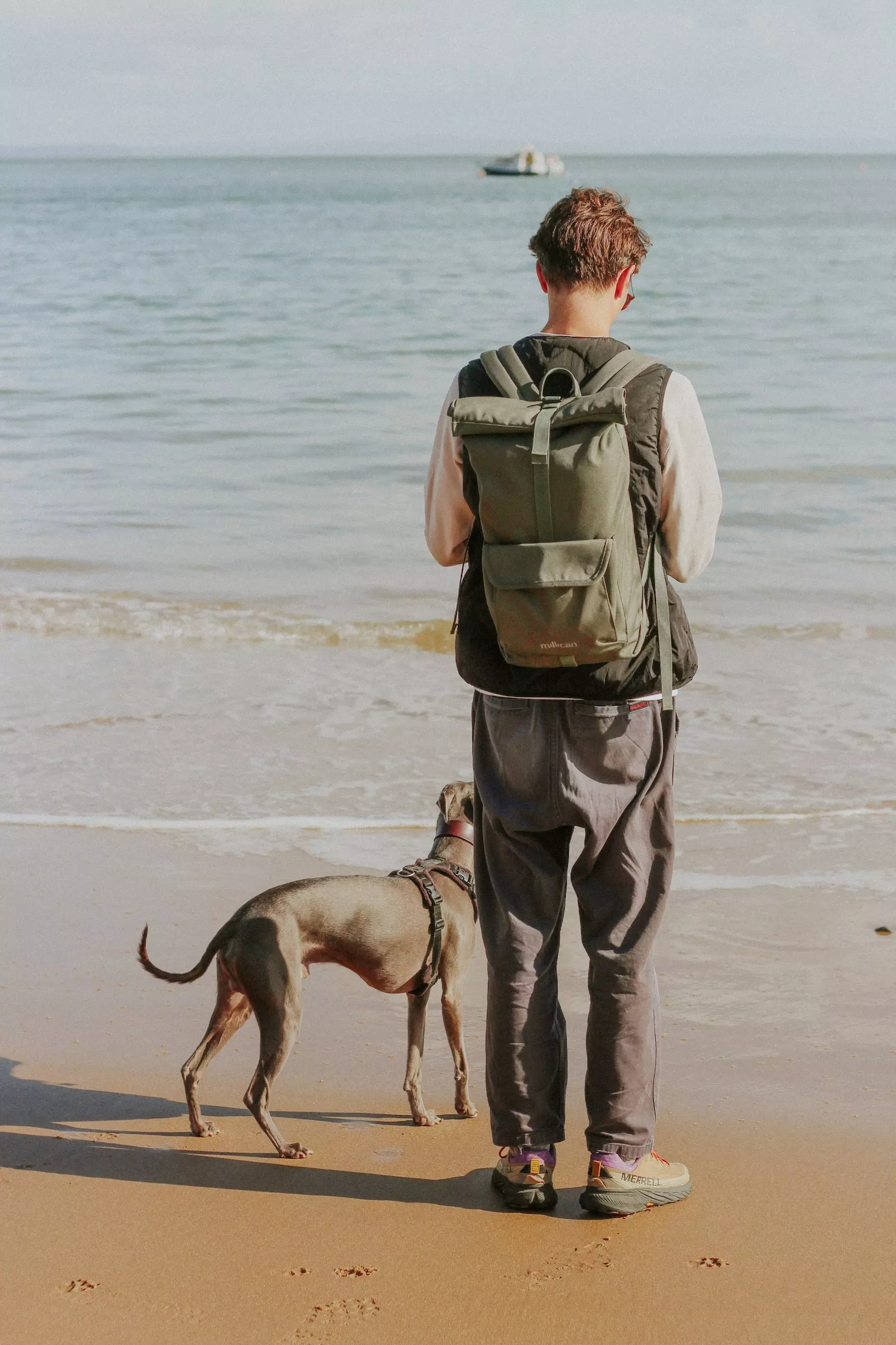 Back shot of male stood by the sea with a blue whippet