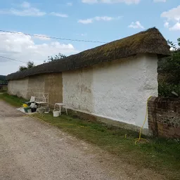 Limewash on a cob wall