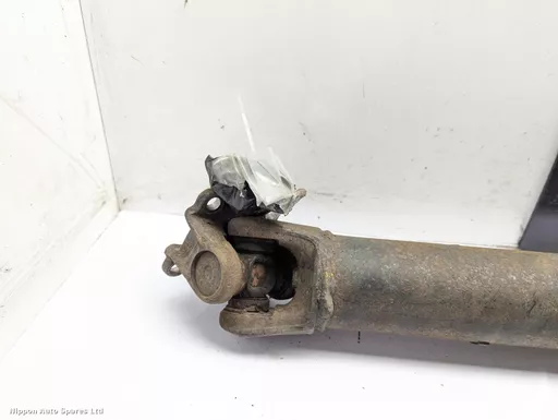 456b4437-c501-45e5-8e76-3519da6781c3.jpeg?