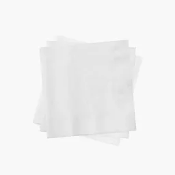 Bia-Napkins.jpg
