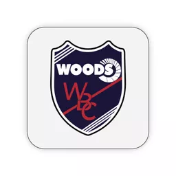 mockup-1763993894984-0-0.png?