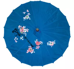 Turquoise silk parasol.jpg