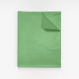 3601212-Light-green-MF-tissue-paper.jpg