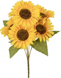 IT393827.jpg