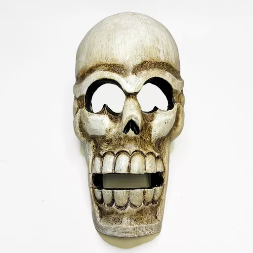 Skull Mask 3.jpg