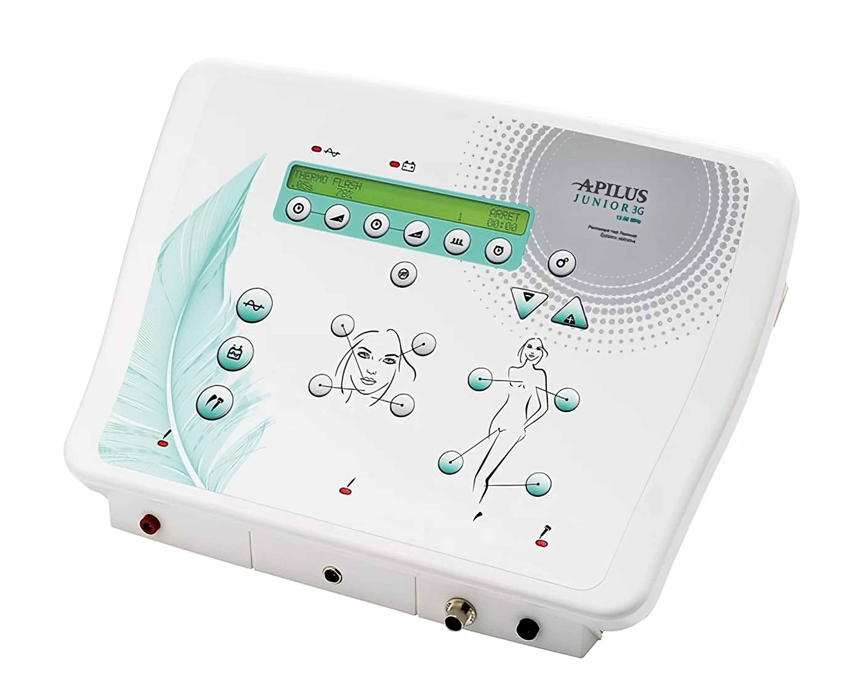 1004 Apilus Junior copy .jpg