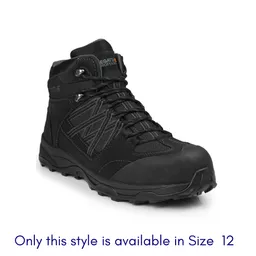 Size 12 in this style only.png