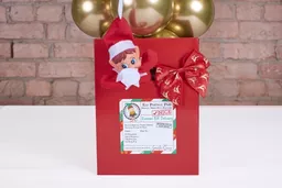 Elf Arrival 1 Medium.jpg