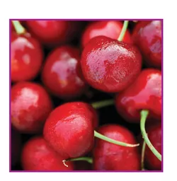 OdQbnIBUsUC52jzLRwLA3g.c-r.jpg?