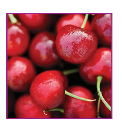 OdQbnIBUsUC52jzLRwLA3g.c-r.jpg?