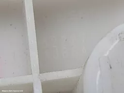 3370a2c7-7089-4413-b5b7-0b0f11bed7f8.jpeg?