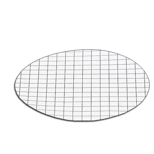 Filters Membrane 0.45um 47mm CN Gridded St IndWrap Pk100 MEM