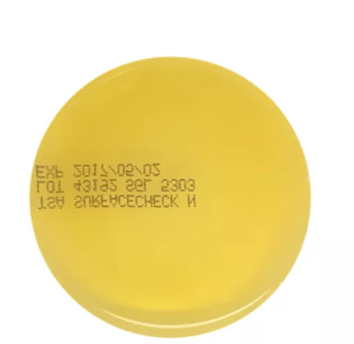 165165398867ed89b31d29d3cc34de2e6a33575e73.PNG?