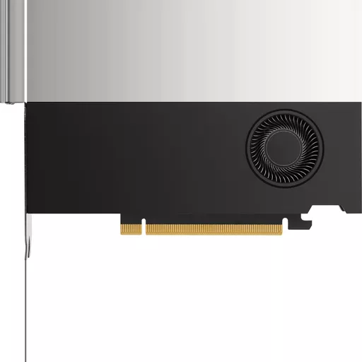 HP NVIDIA RTX A2000 12 GB 4mDP Graphics