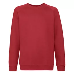 Kid's Premium Raglan Sweat