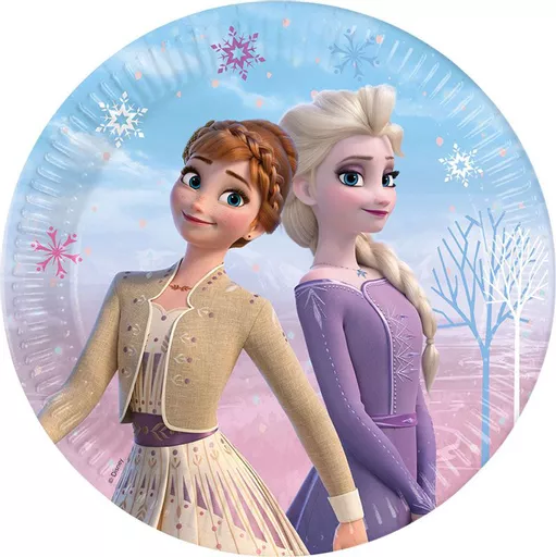 FrozenWindPlates.png