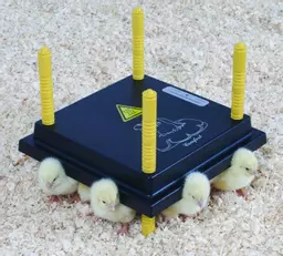 Comfort 25 Plate Heat Brooder with UK plug