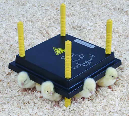 Comfort 25 Plate Heat Brooder with UK plug