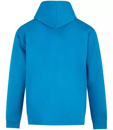 RX350%20TUR%20BACK.jpg?