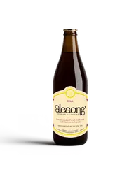 alesong_kriek.png?