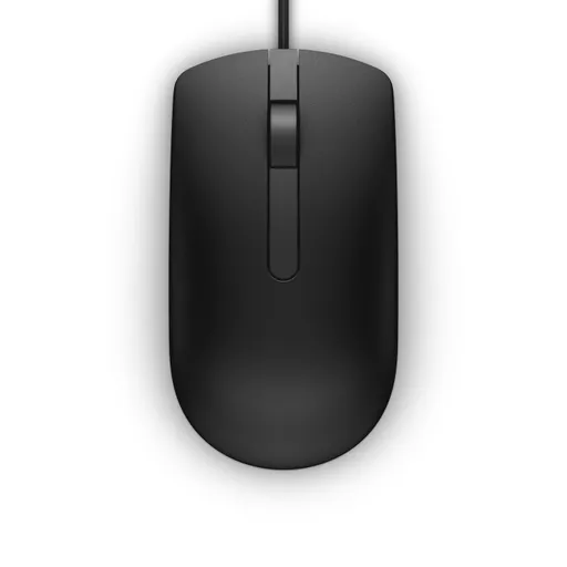 WD6Ui-YfhUSIQaSduv7GYQ.c-r.jpg?