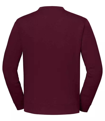 SS151%20BUR%20BACK.jpg?