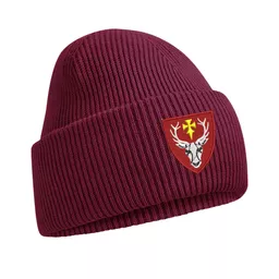 HertfordCollege_CuffedBeanie_Burgundy_Front.png