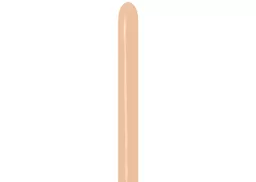 IT379504_1.jpg