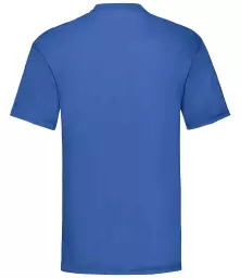 SS6%20ROY%20BACK.jpg