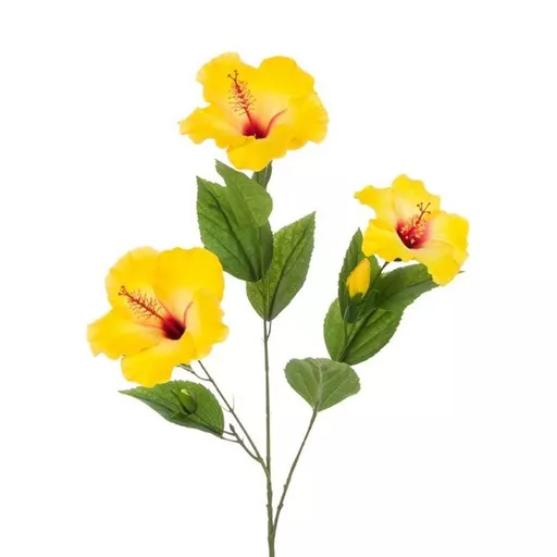 Yellow Hibiscus.jpg