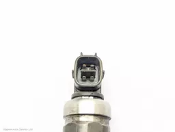 a4c69f09-eda4-4ef9-a9bc-c55785c61c36.jpeg?