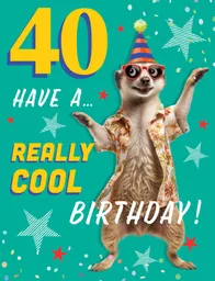 IT377881_1.jpg