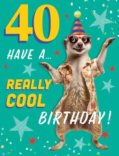 IT377881_1.jpg