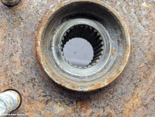 1b74c969-f40c-41c7-8ee8-c429a93fb68d.jpeg?