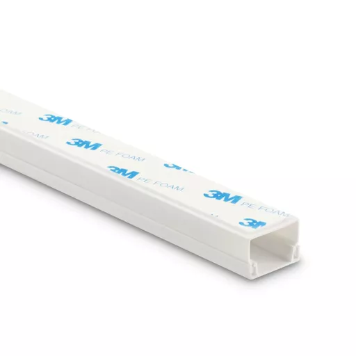 WL9nv6jITUeOivLyWYfsRg.c-r.jpg?