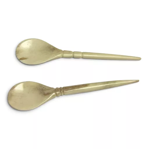 Bone Spoon 2.jpg