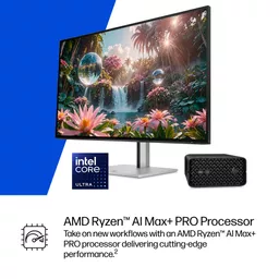 q99nRTC2cE24gdMUjzPHzA.c-r.jpg?