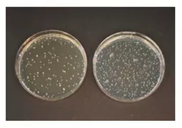 1689683403d83ae966bf3e74e215030fe3efefe18b.png?