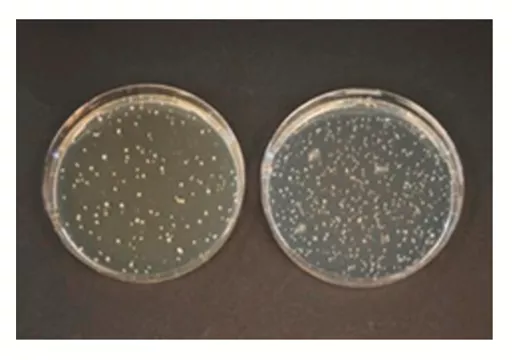 1689683403d83ae966bf3e74e215030fe3efefe18b.png?