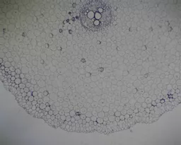 FINHC1006467.png